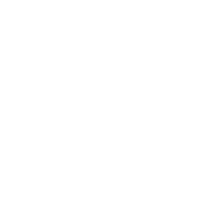 Fmoc-L-Lys[Oct-(OtBu)-Glu-(OtBu)-AEEA-AEEA]-OH
